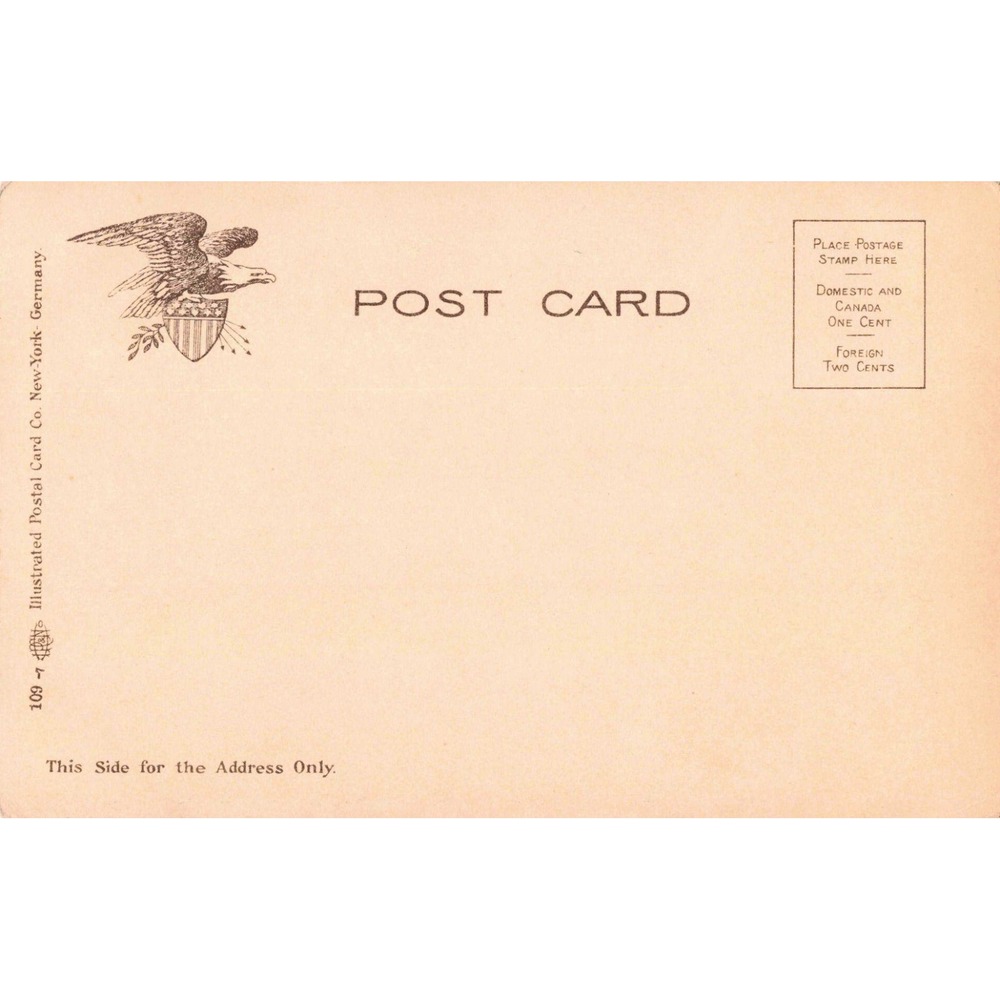 Lesters Park Rustic Bridge Duluth Minnesota Vtg Postcard Divided Back - Picture 2 of 2